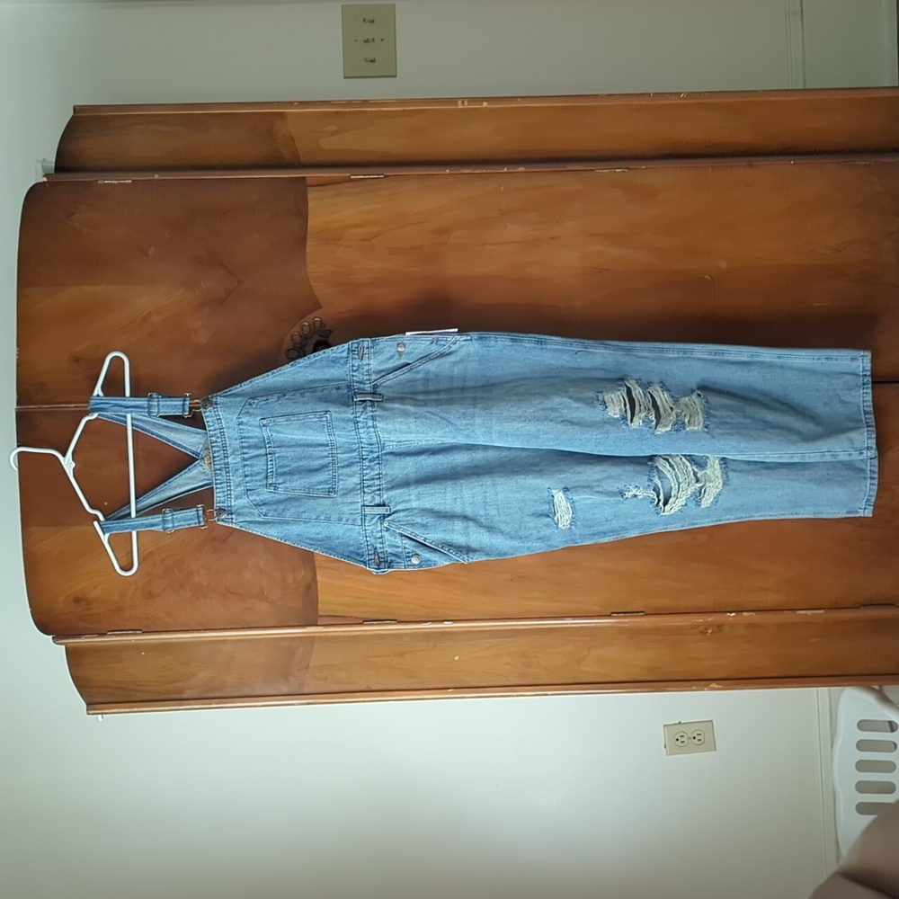 Wild Fable Distressed Long Overalls